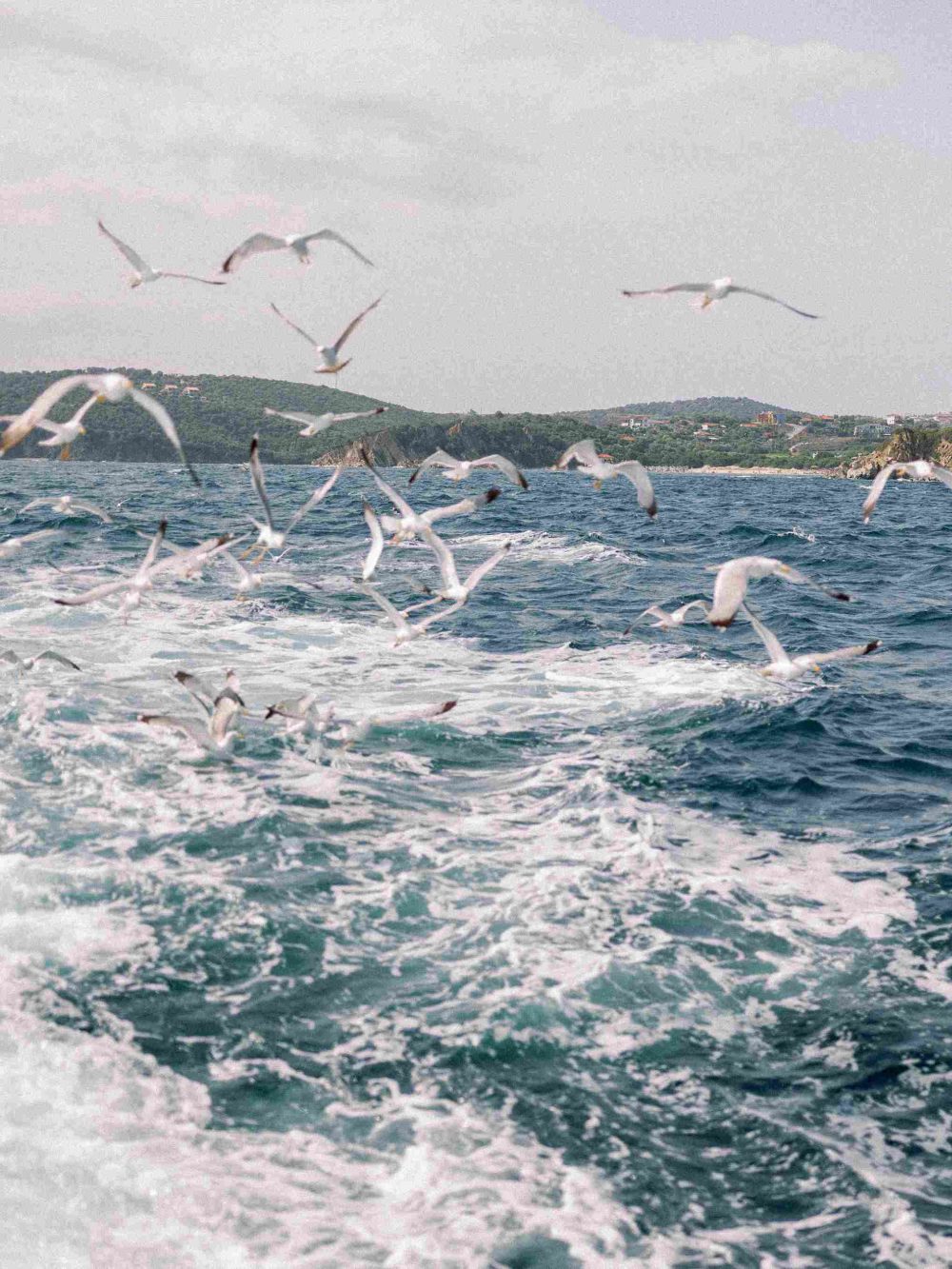 Vasilis Moumkas Wedding Photography Kim Lee